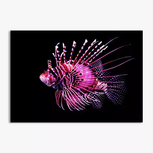 Poster pêle-mêle 70x100