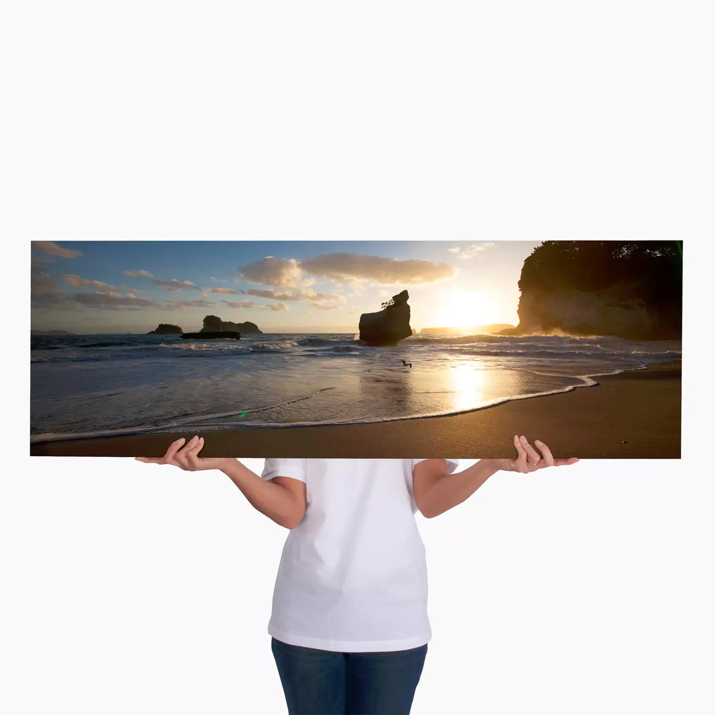Toile simple 120x40